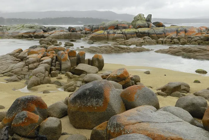 Gerahmter Druck : Regen fällt über die Bay of Fires. Gerahmter Druck : Regen fällt über die Bay of Fires.