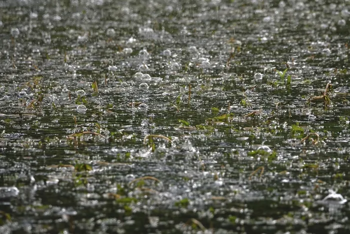 Gerahmter Druck : Regen fällt auf einen Teich, Mai, Deutschland. Gerahmter Druck : Regen fällt auf einen Teich, Mai, Deutschland.