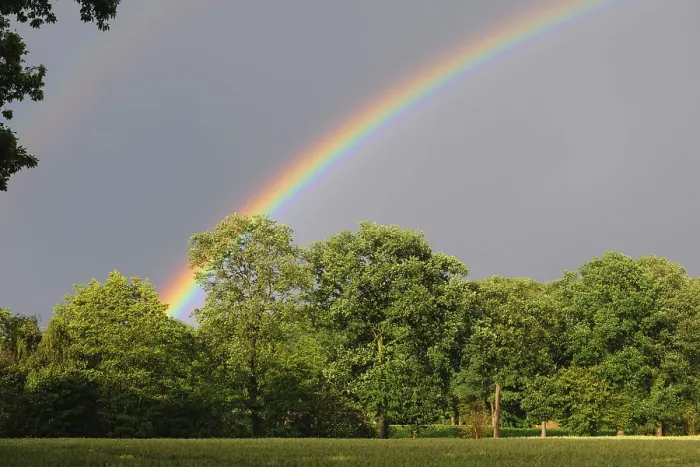 Gerahmter Druck : Regenbogen über einem Getreidefeld, Vechta. Gerahmter Druck : Regenbogen über einem Getreidefeld, Vechta.