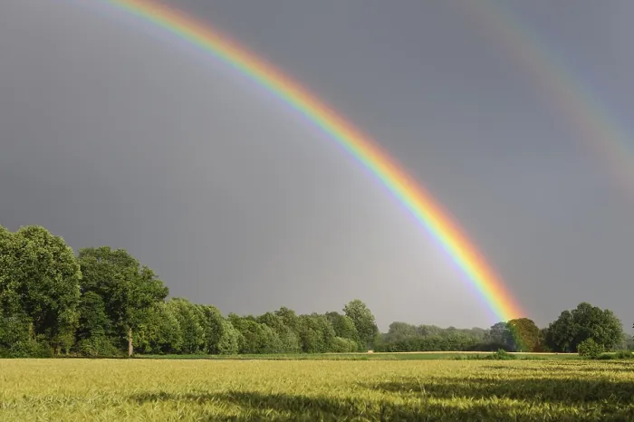 Gerahmter Druck : Regenbogen über einem Kornfeld, Vechta. Gerahmter Druck : Regenbogen über einem Kornfeld, Vechta.