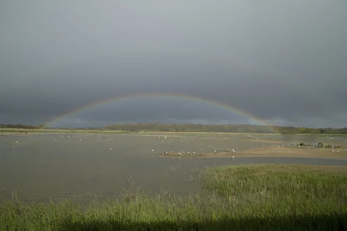 Gerahmter Druck : Regenbogen über der Ost-Schrappe-Lagune. Gerahmter Druck : Regenbogen über der Ost-Schrappe-Lagune.