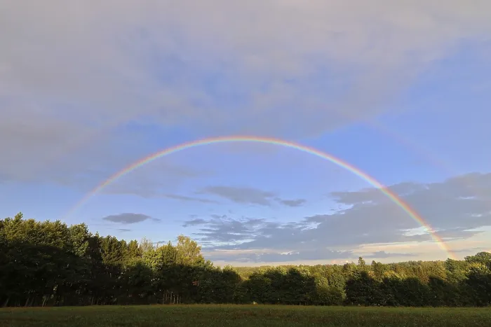 Gerahmter Druck : Regenbogen über einem Wald, Goggingen, Naturpark Obere Donau, Baden-Württemberg, Deutschland Gerahmter Druck : Regenbogen über einem Wald, Goggingen, Naturpark Obere Donau, Baden-Württemberg, Deutschland