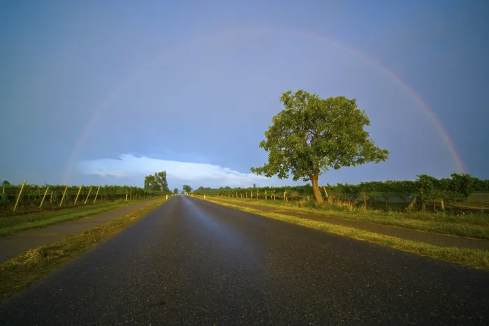 Gerahmter Druck : Regenbogen über einer Autobahn, Illmitz, Burgenland, Österreich Gerahmter Druck : Regenbogen über einer Autobahn, Illmitz, Burgenland, Österreich