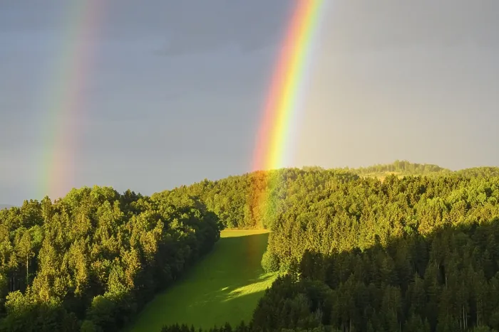Gerahmter Druck : Regenbogen in einem hügeligen Landschaft mit Wald. Gerahmter Druck : Regenbogen in einem hügeligen Landschaft mit Wald.