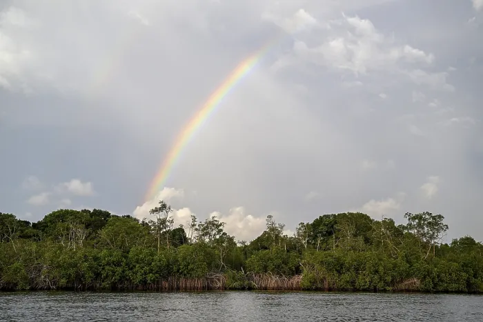 Gerahmter Druck : Regenbogen über der Iguela Lagune Gerahmter Druck : Regenbogen über der Iguela Lagune