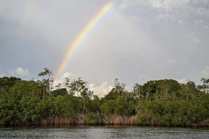 Gerahmter Druck : Regenbogen über der Iguela Lagune. Gerahmter Druck : Regenbogen über der Iguela Lagune.