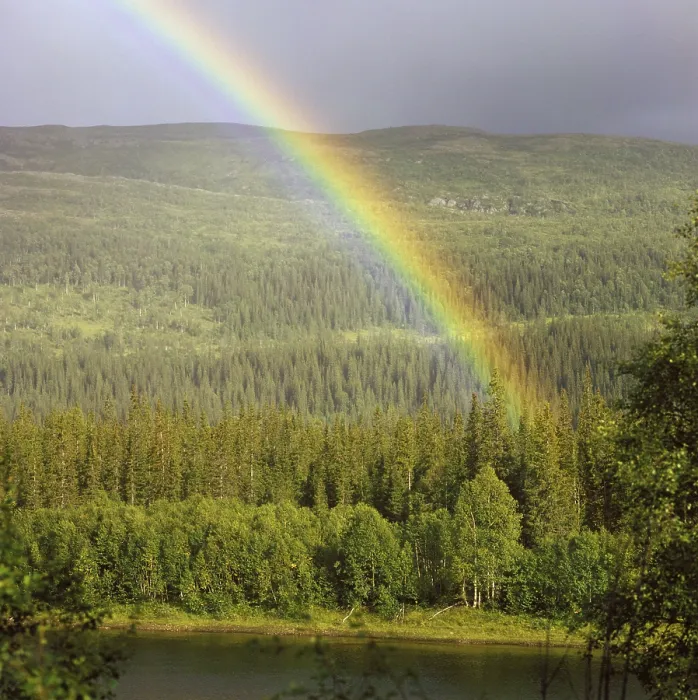 Gerahmter Druck : Regenbogen, Norwegen Gerahmter Druck : Regenbogen, Norwegen