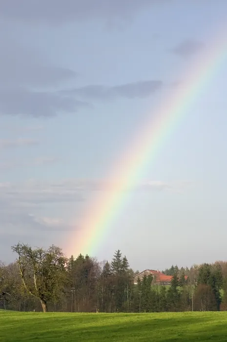 Gerahmter Druck : Regenbogen im Frühling in Oberbayern