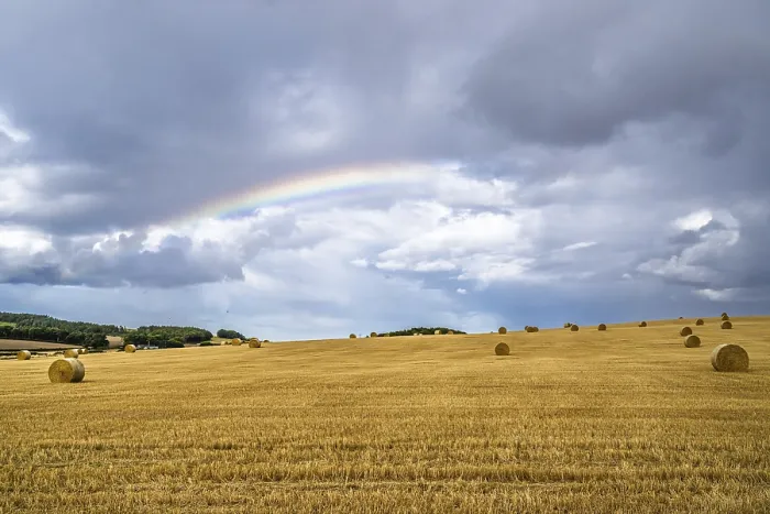 Gerahmter Druck : Regenbogen über Heuhaufen, schottische Felder. Gerahmter Druck : Regenbogen über Heuhaufen, schottische Felder.