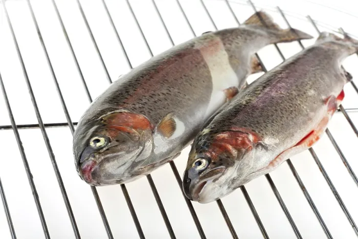 Gerahmter Druck : Zwei Regenbogenforellen auf dem Grill. Gerahmter Druck : Zwei Regenbogenforellen auf dem Grill.