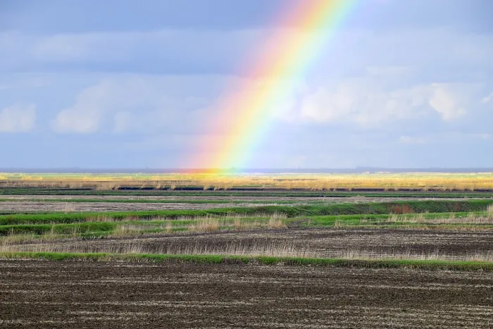 Gerahmter Druck : Regenbogen, eine Aussicht auf das Landschaftsbild im Feld. Gerahmter Druck : Regenbogen, eine Aussicht auf das Landschaftsbild im Feld.