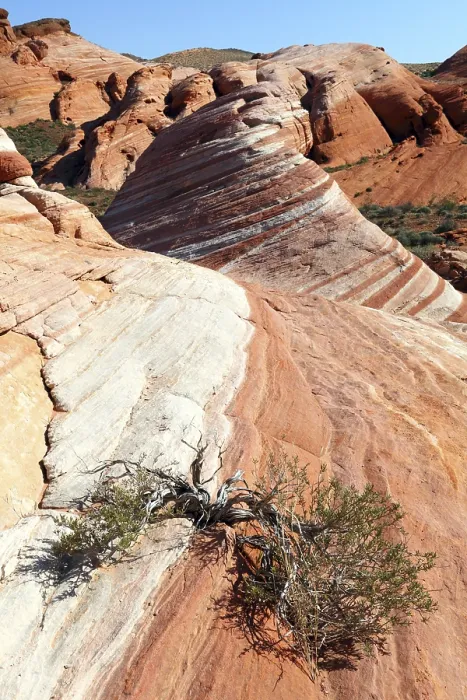 Gerahmter Druck : Regenbogenwelle, Valley of Fire State Park Gerahmter Druck : Regenbogenwelle, Valley of Fire State Park