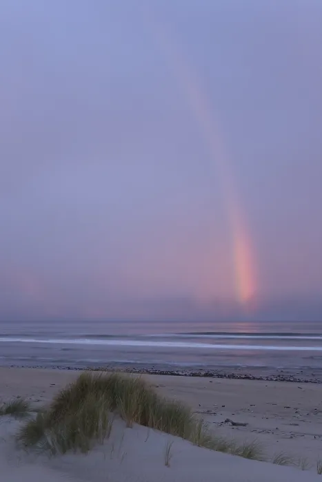 Gerahmter Druck : Regenbogen an der Westküste bei Abendlicht. Gerahmter Druck : Regenbogen an der Westküste bei Abendlicht.