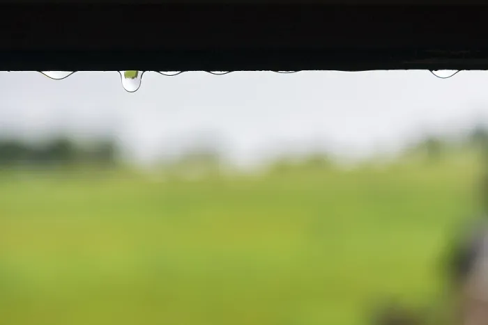 Gerahmter Druck : Regentränen auf dem Fensterrahmen