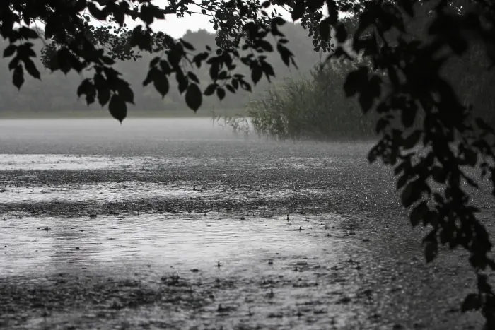 Gerahmter Druck : Regentropfen, starker Regen, Gewitter. Gerahmter Druck : Regentropfen, starker Regen, Gewitter.