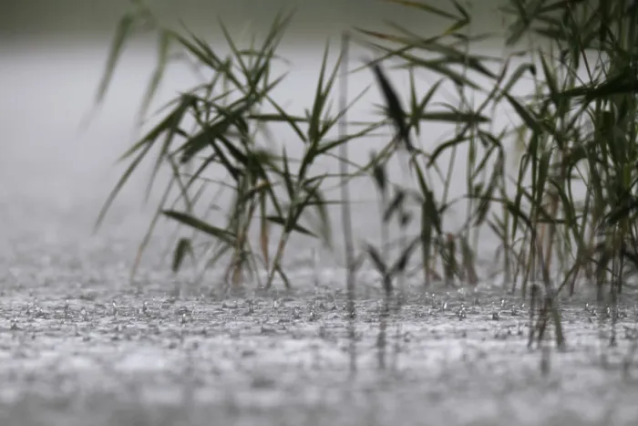Gerahmter Druck : Regentropfen, starker Regen, Gewitter.