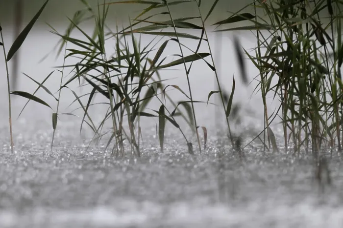 Gerahmter Druck : Regentropfen, starker Regen, Gewitter. Gerahmter Druck : Regentropfen, starker Regen, Gewitter.