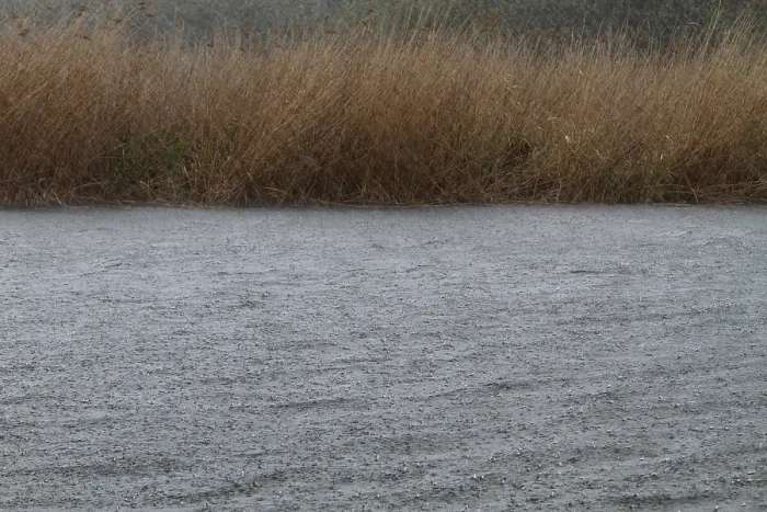 Gerahmter Druck : Regentropfen, starker Regen, Gewitter. Gerahmter Druck : Regentropfen, starker Regen, Gewitter.