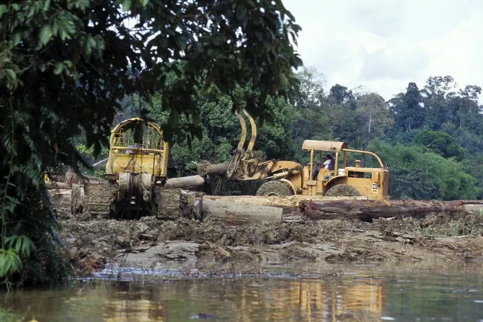 Gerahmter Druck : Regenwaldrodung, Borneo. Gerahmter Druck : Regenwaldrodung, Borneo.