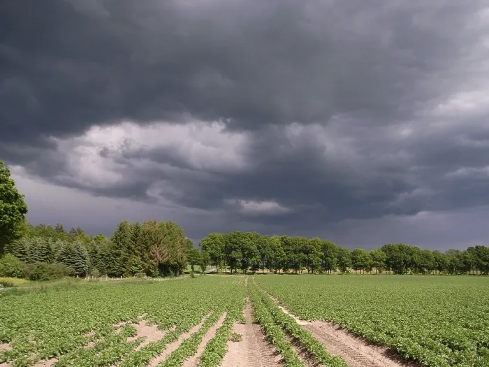 Gerahmter Druck : Regnerischer Wetterhimmel Gerahmter Druck : Regnerischer Wetterhimmel