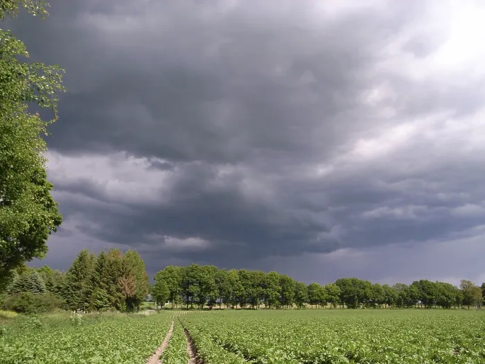 Gerahmter Druck : Regnerisches Wetter. Gerahmter Druck : Regnerisches Wetter.