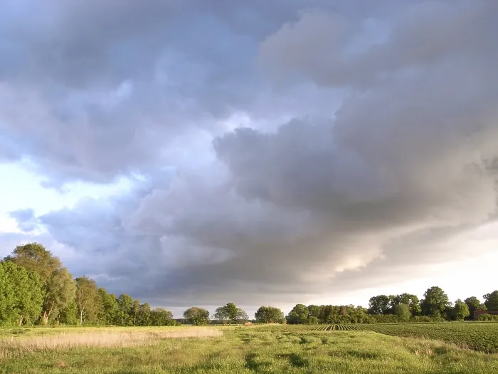 Gerahmter Druck : Regnerisches Wetter. Gerahmter Druck : Regnerisches Wetter.