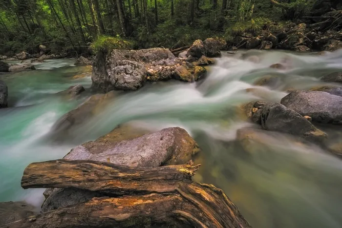 Gerahmter Druck : Ramsauer Ache im Zauberwald, Ramsau, Landkreis Berchtesgadener Land, Oberbayern, Deutschland Gerahmter Druck : Ramsauer Ache im Zauberwald, Ramsau, Landkreis Berchtesgadener Land, Oberbayern, Deutschland