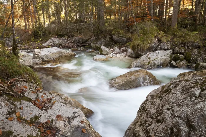 Gerahmter Druck : Ramsauer Ache im Zauberwald. Gerahmter Druck : Ramsauer Ache im Zauberwald.