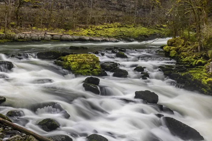 Gerahmter Druck : Rapids und Sumpf voller Moos, Saut du Doubs