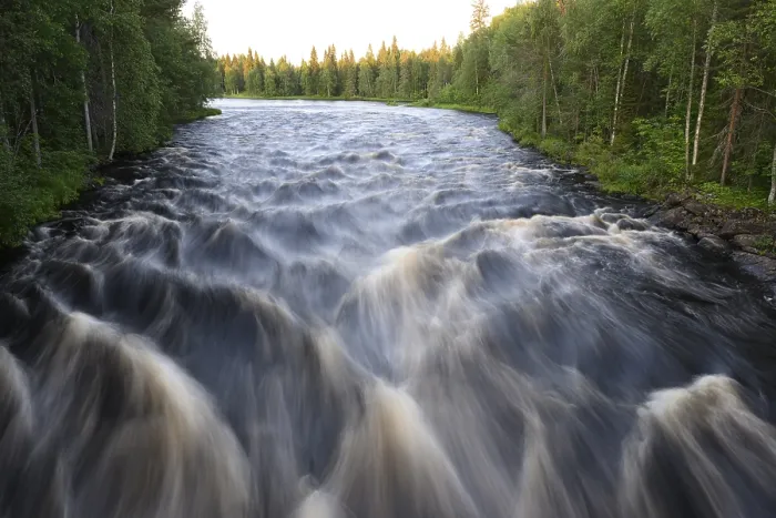 Gerahmter Druck : Rapids der Raudanjoki River umgeben von dichtem Wald.