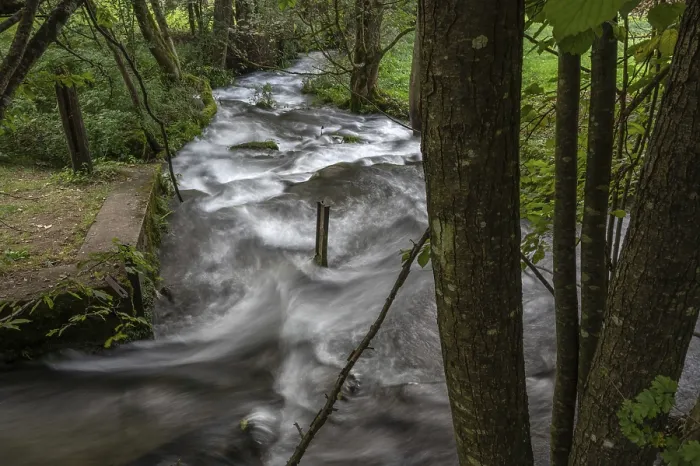 Gerahmter Druck : Rapide des Trubach, Tal des Trubach Gerahmter Druck : Rapide des Trubach, Tal des Trubach