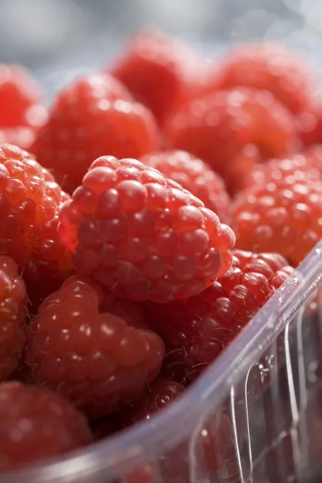 Gerahmter Druck : Rasberries Gerahmter Druck : Rasberries