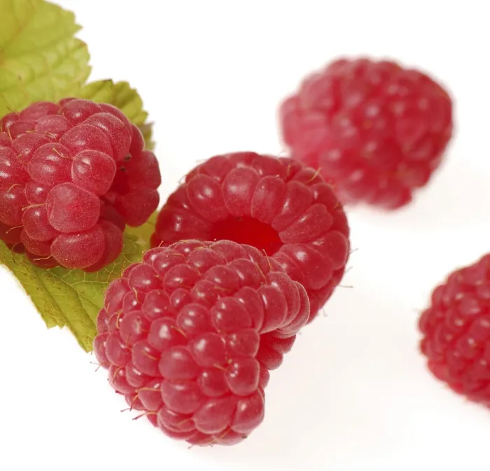 Gerahmter Druck : Raspberries Gerahmter Druck : Raspberries