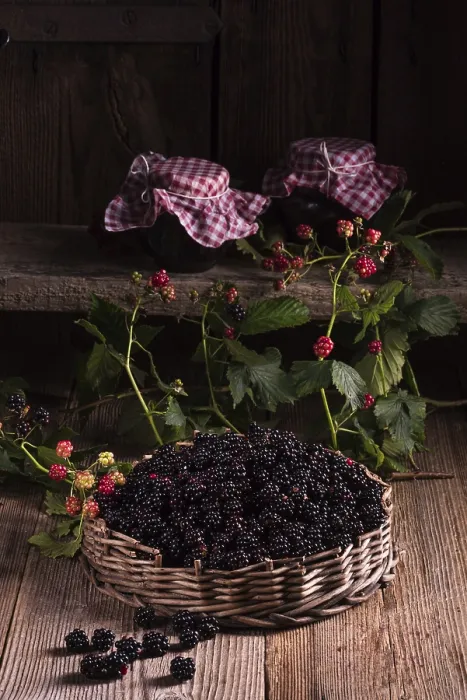 Gerahmter Druck : Raspberries Gerahmter Druck : Raspberries