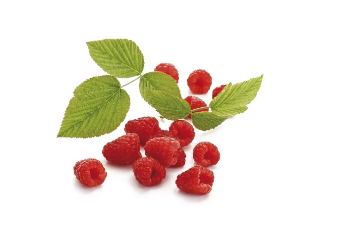 Gerahmter Druck : Raspberries und Blätter Gerahmter Druck : Raspberries und Blätter
