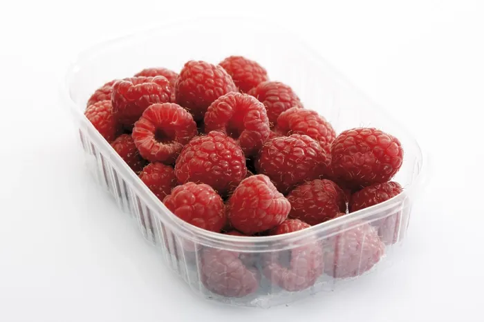 Gerahmter Druck : Beeren in einem Kunststoffbehälter. Gerahmter Druck : Beeren in einem Kunststoffbehälter.