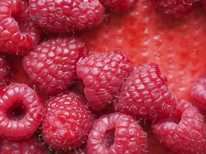 Gerahmter Druck : Beerenfrucht Lebensmittel Gerahmter Druck : Beerenfrucht Lebensmittel