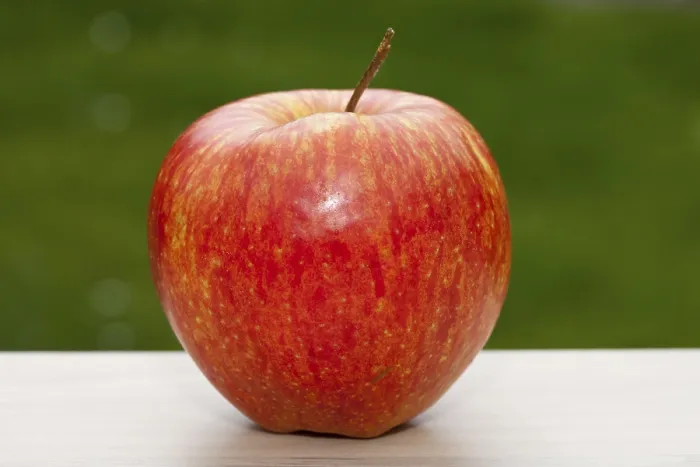 Gerahmter Druck : Roter Apfel Gerahmter Druck : Roter Apfel