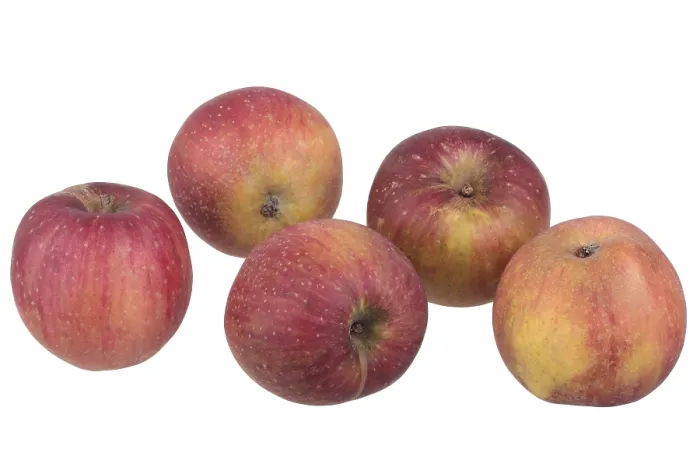 Gerahmter Druck : Rot Apfel Rot Eiserapfel Gerahmter Druck : Rot Apfel Rot Eiserapfel