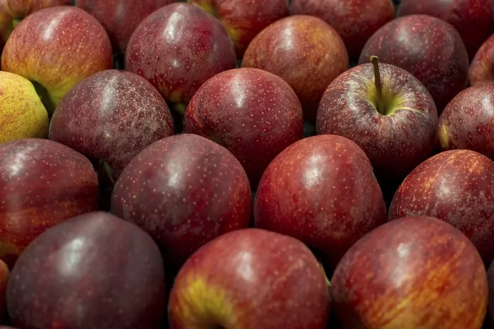 Gerahmter Druck : Rote Äpfel Gerahmter Druck : Rote Äpfel