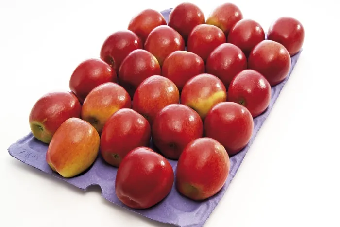 Gerahmter Druck : Rote Äpfel Gerahmter Druck : Rote Äpfel