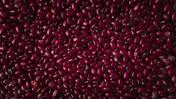 Gerahmter Druck : Rote Bohnen, Nahansicht, Oberansicht, roh. Gerahmter Druck : Rote Bohnen, Nahansicht, Oberansicht, roh.