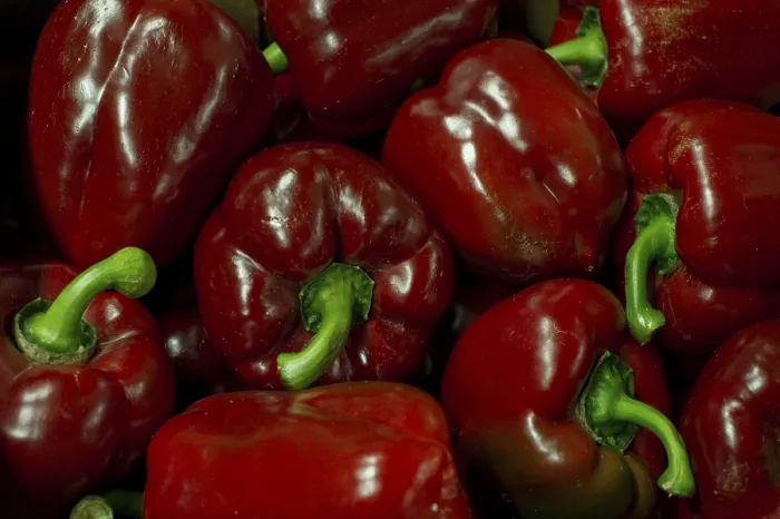 Gerahmter Druck : Rote Paprika Gerahmter Druck : Rote Paprika