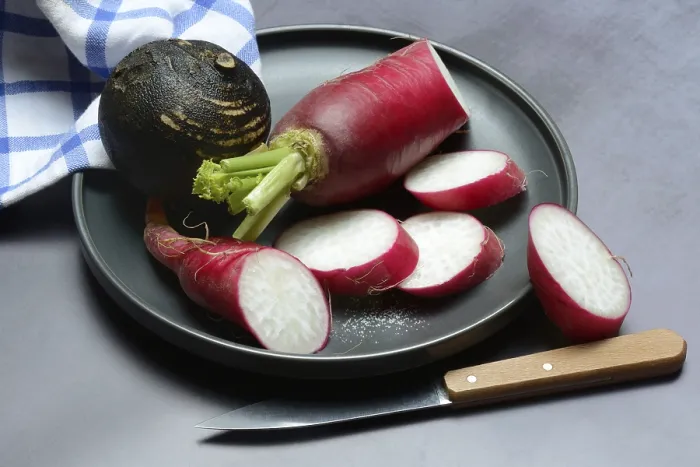 Gerahmter Druck : Rote und schwarze Rettich (Raphanus) auf dem Teller. Gerahmter Druck : Rote und schwarze Rettich (Raphanus) auf dem Teller.