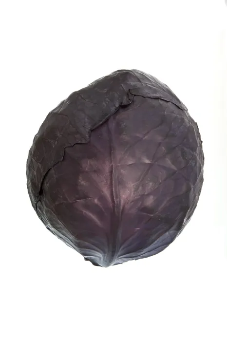 Gerahmter Druck : Rote Rübe, rote Rübe, blaue Rübe. Gerahmter Druck : Rote Rübe, rote Rübe, blaue Rübe.