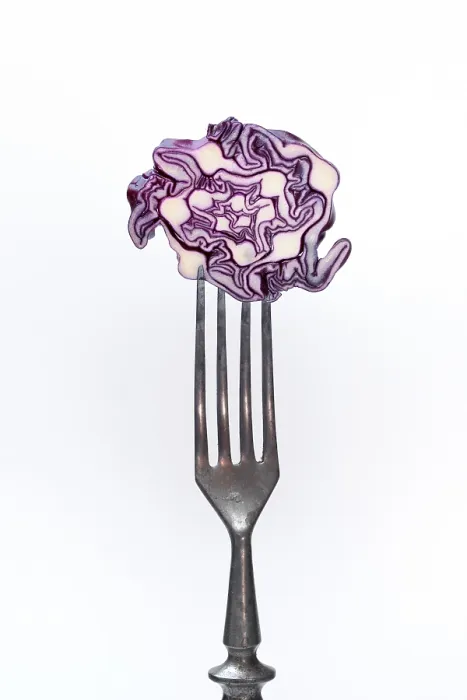 Gerahmter Druck : Rotkohl, rotkohl auf Gabel. Gerahmter Druck : Rotkohl, rotkohl auf Gabel.