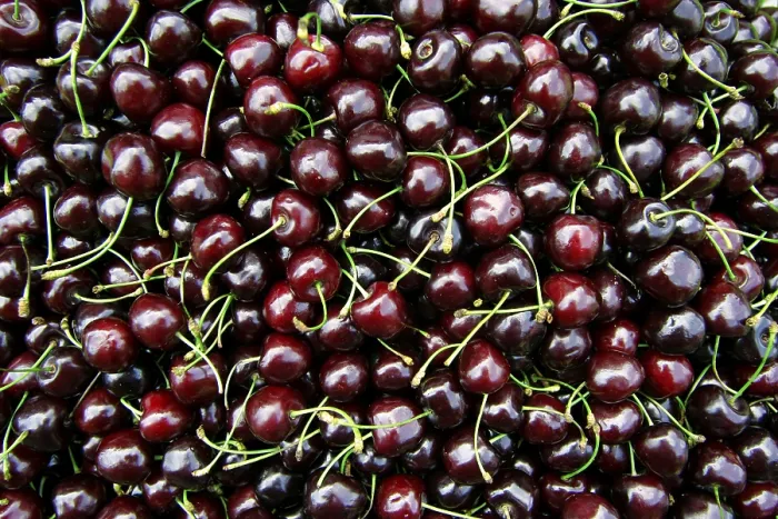 Gerahmter Druck : Rote Kirschen Gerahmter Druck : Rote Kirschen