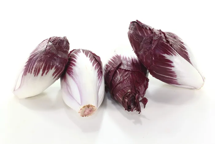 Gerahmter Druck : Vier rote Chicorée-Salate gegen einen hellen Hintergrund. Gerahmter Druck : Vier rote Chicorée-Salate gegen einen hellen Hintergrund.