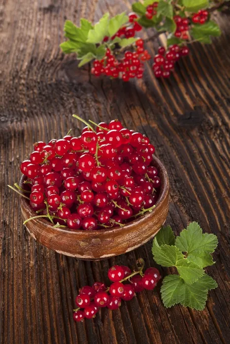 Gerahmter Druck : Rote Johannisbeere auf Holzgrund. Gerahmter Druck : Rote Johannisbeere auf Holzgrund.
