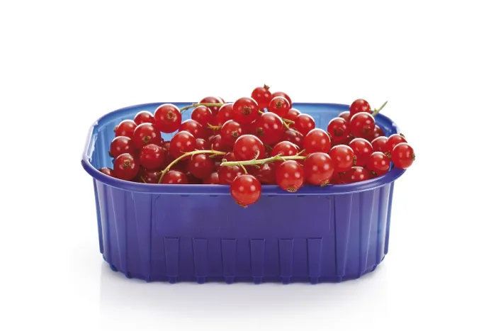 Gerahmter Druck : Rote Johannisbeeren in einem Plastikbox. Gerahmter Druck : Rote Johannisbeeren in einem Plastikbox.